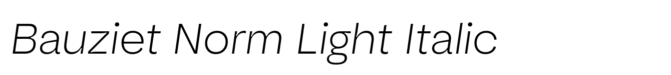 Bauziet Norm Light Italic
